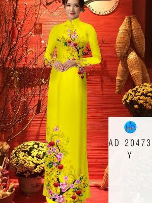 1608172723 74 vai ao dai dep nhat hien nay (6)